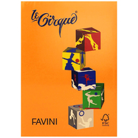 Prodotto Carta Le Cirque A3 - arancio