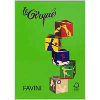 Prodotto Carta Le Cirque A3 - verde prato