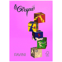 Prodotto Carta Le Cirque A4 - ciclamino