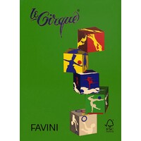 Prodotto Carta Le Cirque A4 - verde bandiera
