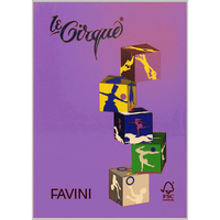 Prodotto Carta Le Cirque A4 - iris