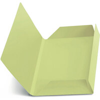 Prodotto Cartellina con lembi - Pistacchio