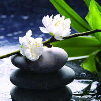 Prodotto Quadri canvas in tela