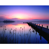 Prodotto Quadri canvas in tela