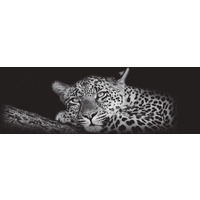 Prodotto Quadri canvas in tela